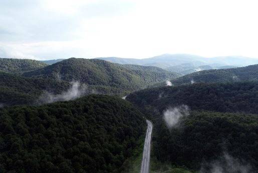 Sudaki orman. Dünyanın sayılı ormanlarından biri Türkiye’de 15